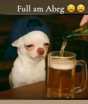 Ed🗽™ tweet media