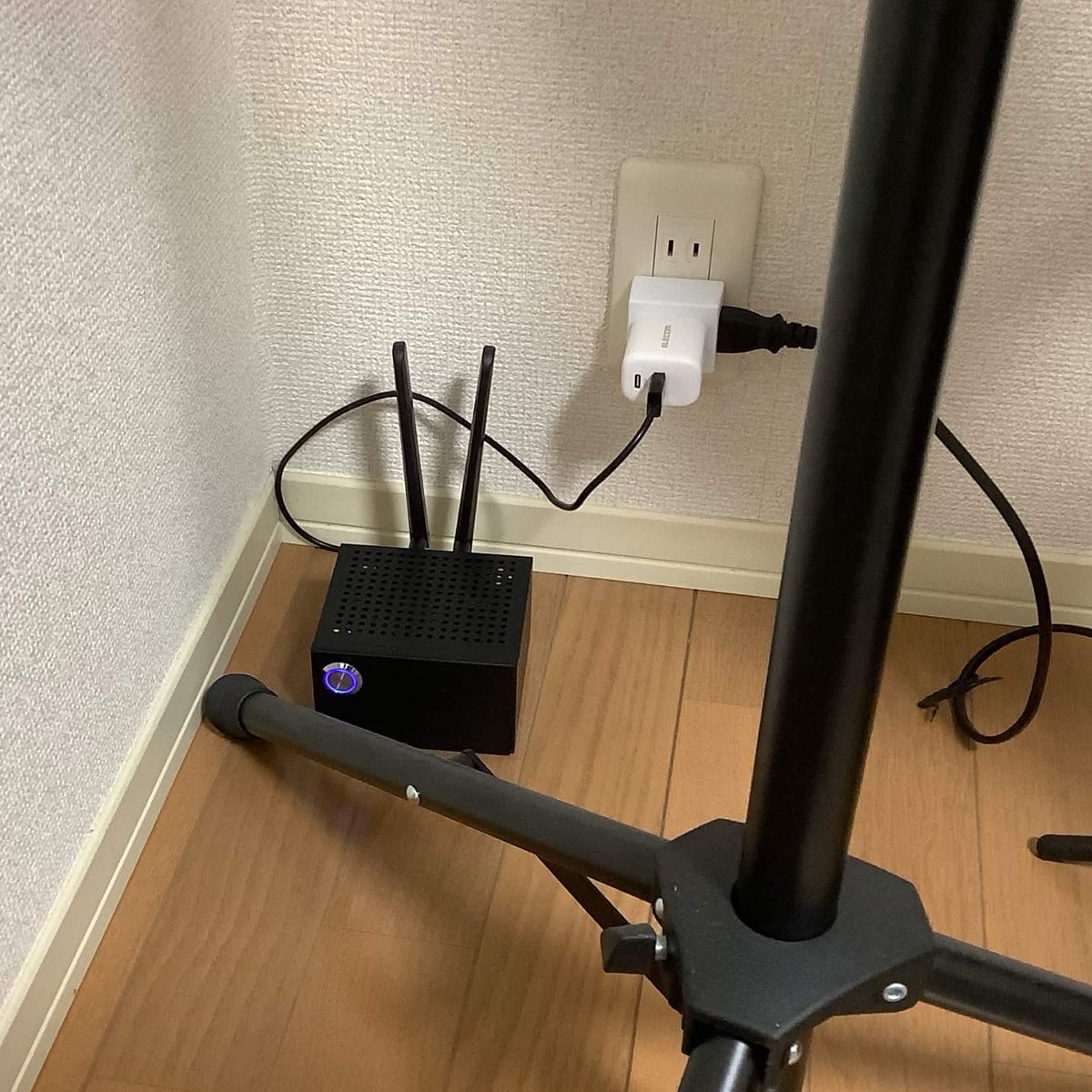 しまいぬスタジヲ tweet media