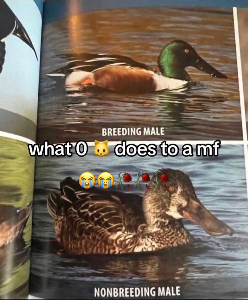 Images That Make You Feel Pain tweet media