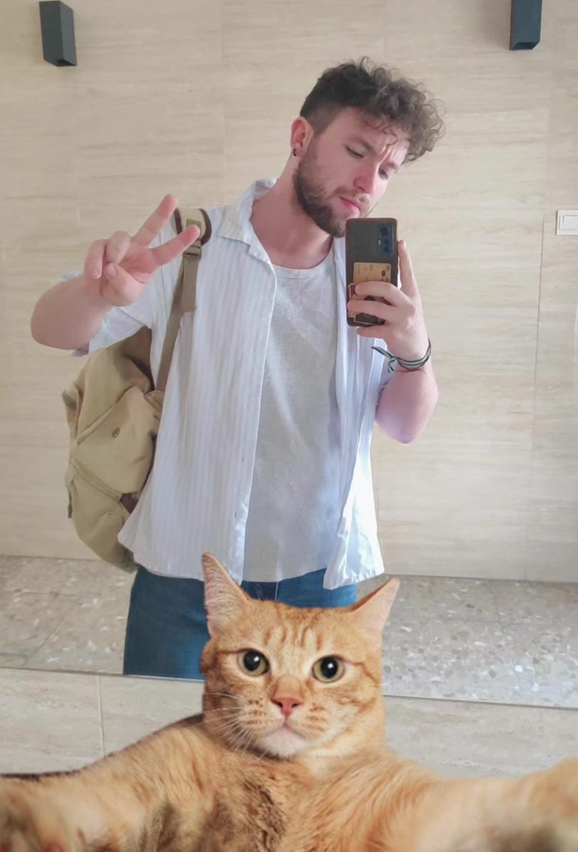 URSSaluna 🐻🔨🇵🇸 tweet media