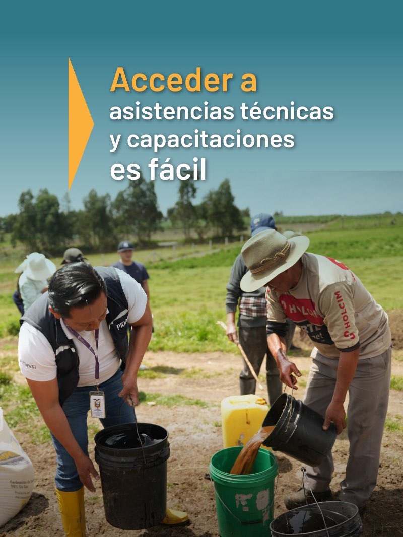 AgriculturaEc's tweet photo. Accede gratis a asistencias técnicas y capacitaciones del #PIDARA, de forma individual o junto a tu organización.

Visita la Dirección Distrital del #MAGP de tu provincia y fortalece tu producción.

🔗 Todos los detalles aquí: https://t.co/ruRpRqsUAn

#ElNuevoEcuador https://t.co/frMlxGzVBn