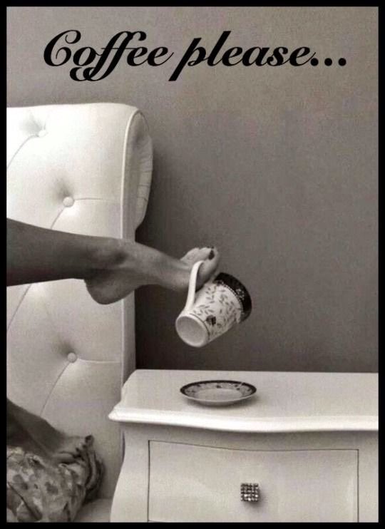 QeenStiletTOES's tweet image. Good morning wallets

#findom #coffee #princess #silentsend