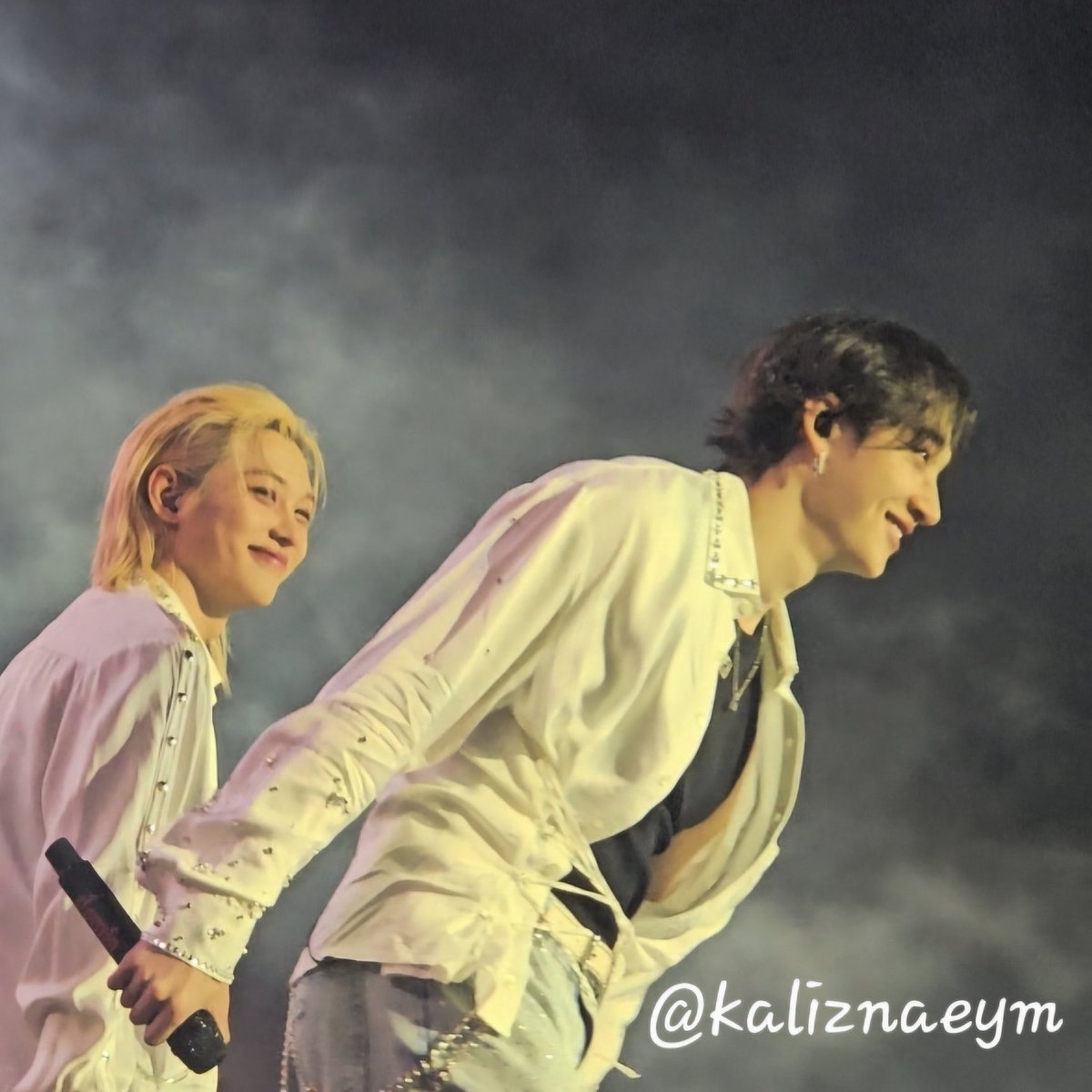 riss𐙚 chanlix enthusiast tweet media