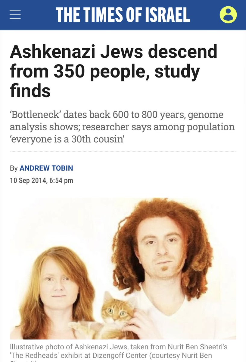 The 80 Year Curse tweet media