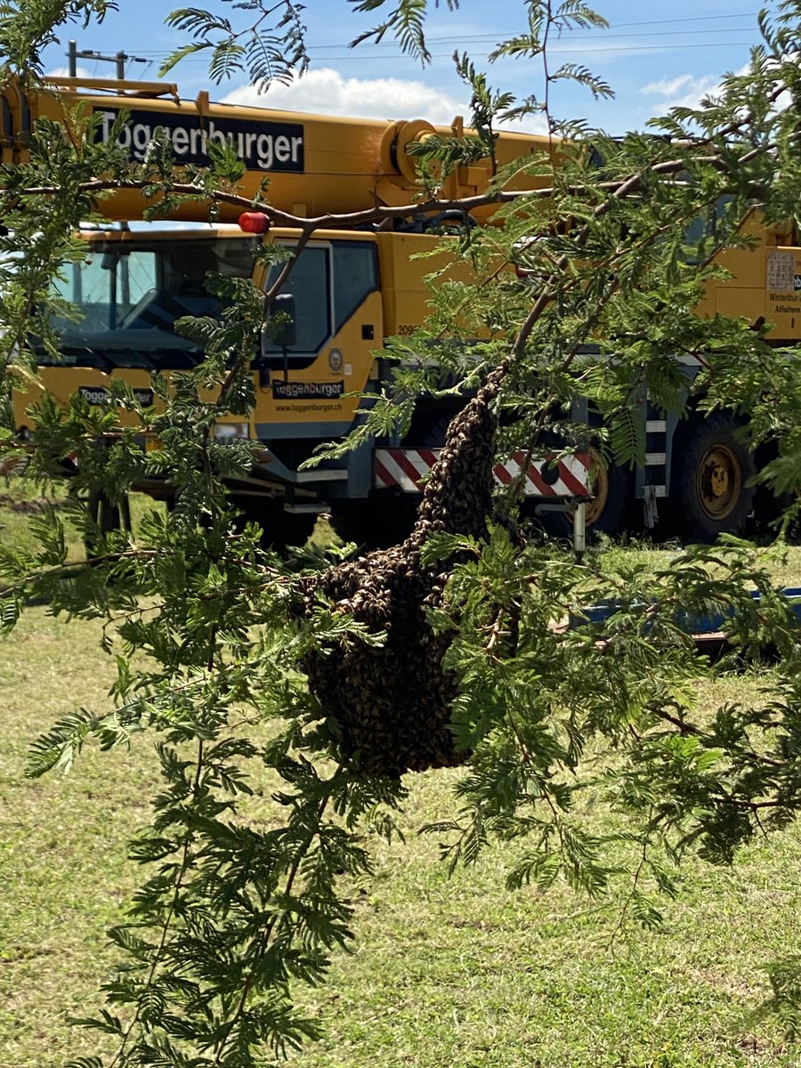 SAM and chill tweet media