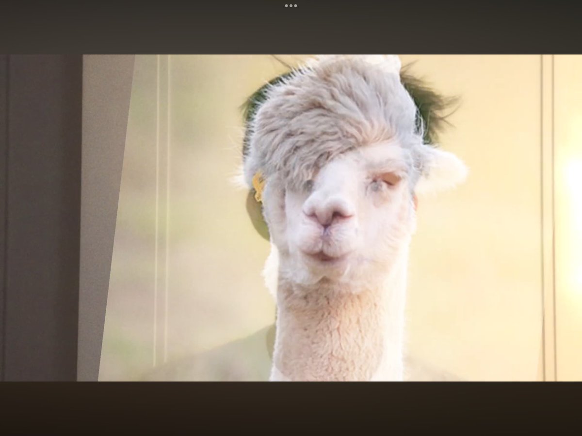 peppy🩷 tweet media