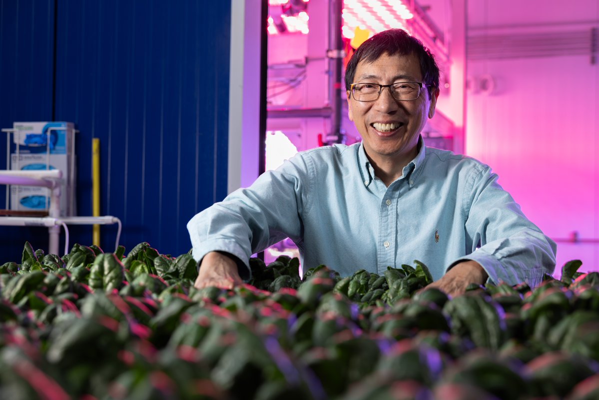 Arkansas Agricultural Experiment Station tweet media