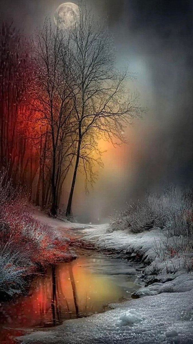 LUVIORIA's tweet image. Good night my friends ...

May your dreams shine as brightly as the stars...

Thank you for accompanying me and supporting me on my journey today 🙏.

See you tomorrow 🕊️✨

#Goodnighteveryone #goodnight #life #love