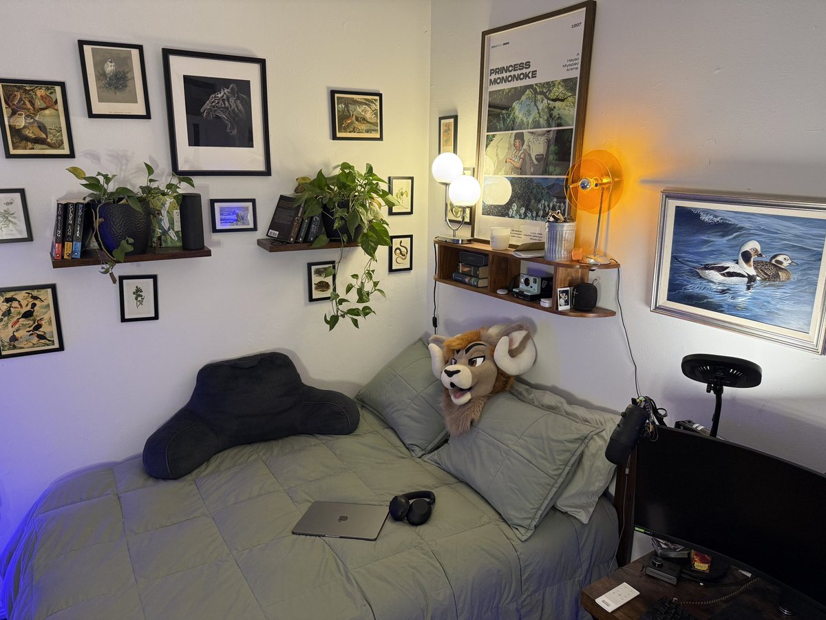 Sam the Ram 🐏 tweet media