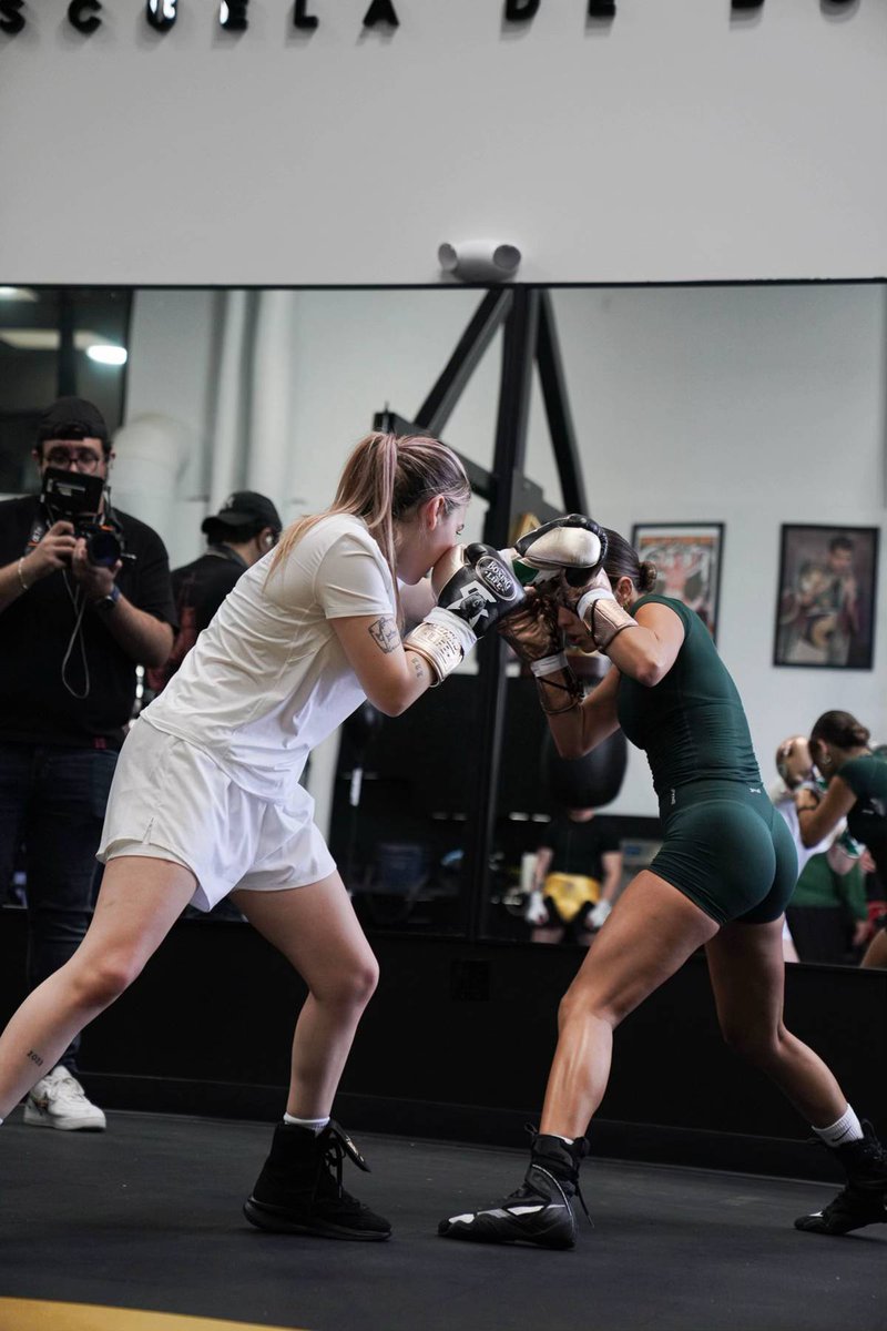 Vanesagg tweet media