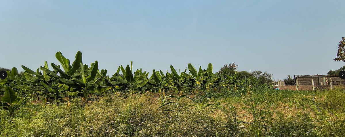 ELK Connect tweet media