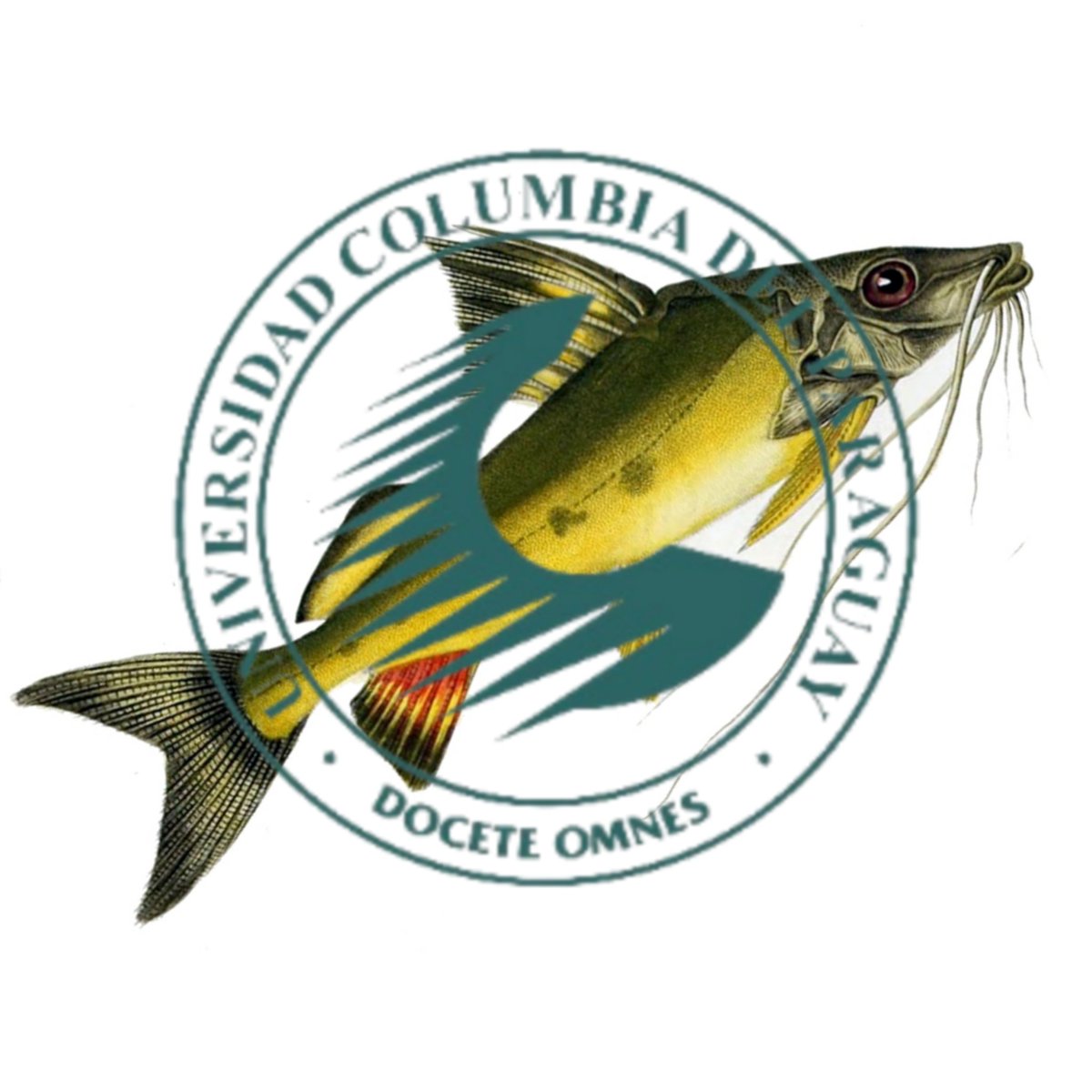 Luis Alberto tweet media