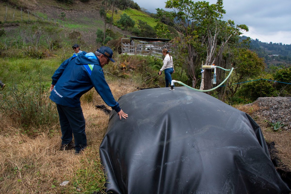 CORPONOR tweet media