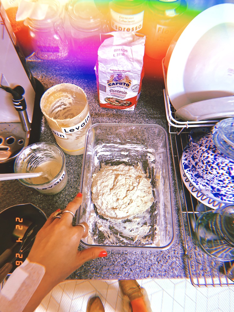 DrewVanilla_'s tweet photo. 🥖#발효시작
Levain+water 478g
Caputo+Caputo+Bread flour 395g
=Sourdough 861g

#April22 #Wednesday https://t.co/nU4aoW2NCW