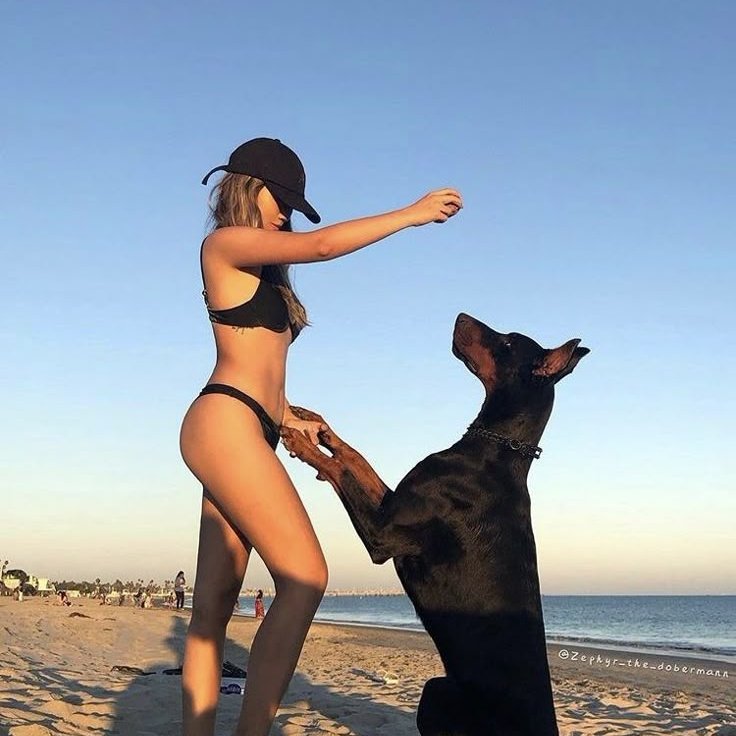 Dog lover tweet media