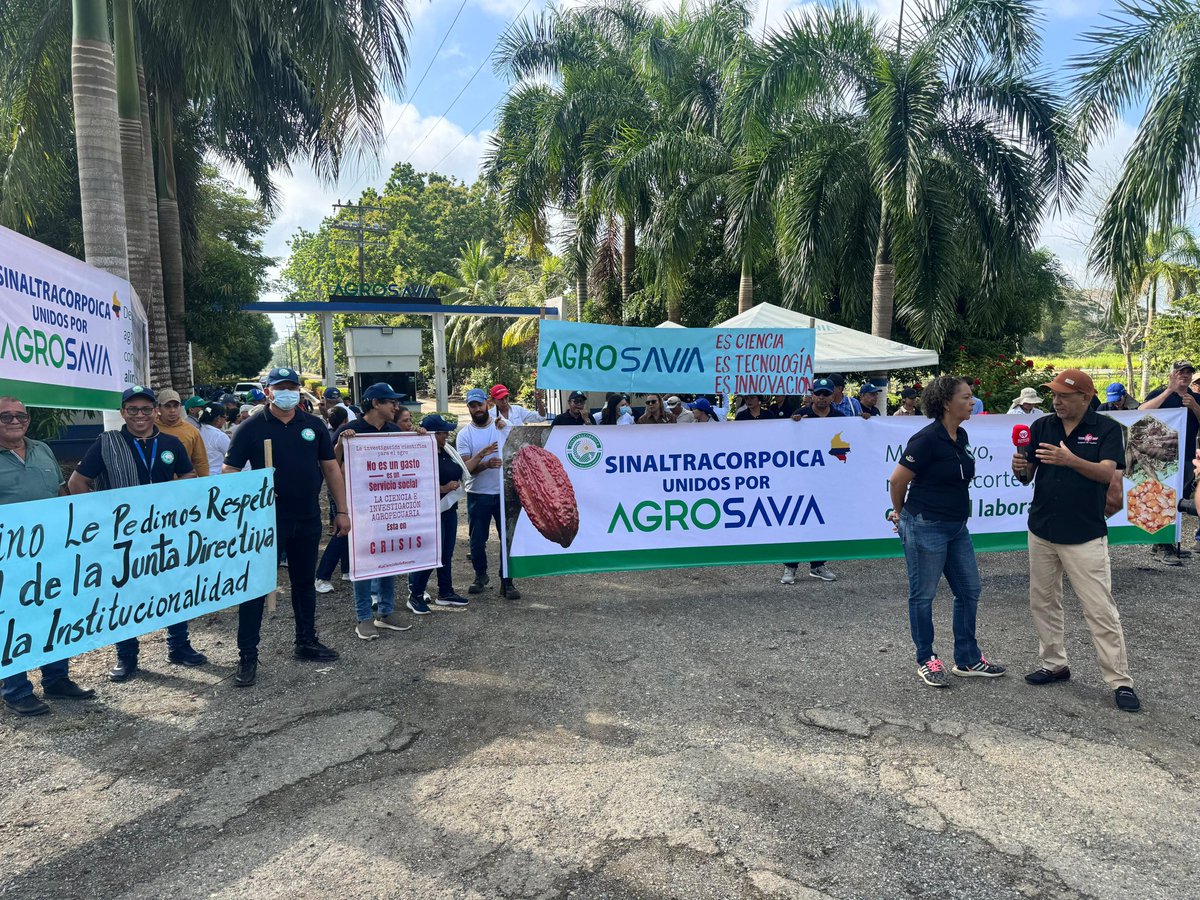 Agrosavia marcha a nivel nacional <a href="/BluRadioCo/">BluRadio Colombia</a> <a href="/CamaraColombia/">Cámara de Representantes de Colombia</a> <a href="/NoticiasCaracol/">Noticias Caracol</a> <a href="/petrogustavo/">Gustavo Petro</a> <a href="/SenadoGovCo/">Senado de la República 🇨🇴</a> <a href="/SomosAGROSAVIA/">AGROSAVIA</a>