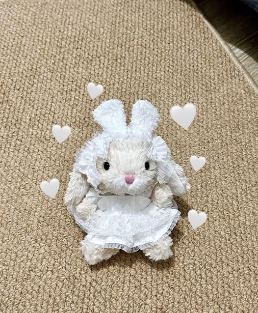 A soft little bunny, dressed in clothes sewn by hand, warm and comforting 📷📷