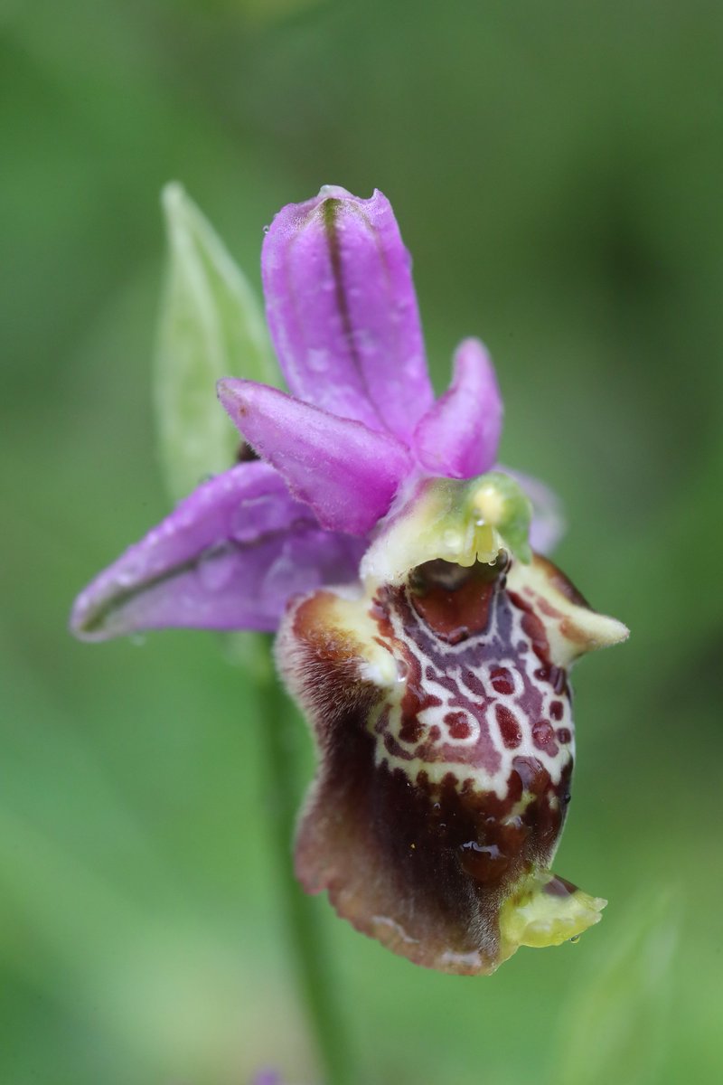 Jon Dunn 🇺🇦 tweet media