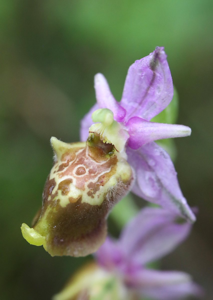 Jon Dunn 🇺🇦 tweet media