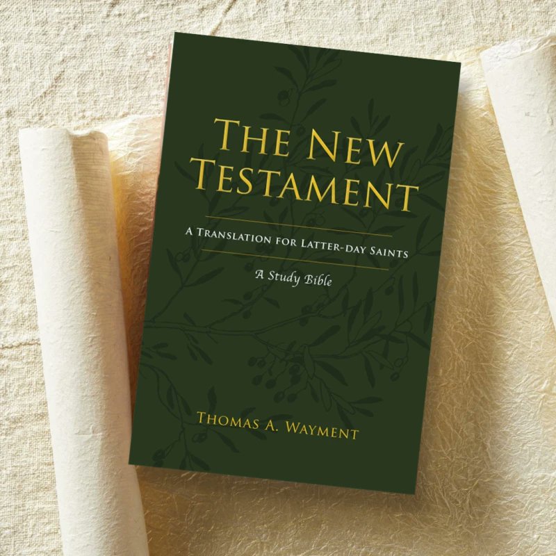 Ransom Bartholomew tweet media