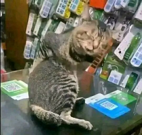 you smell like a rose tweet media