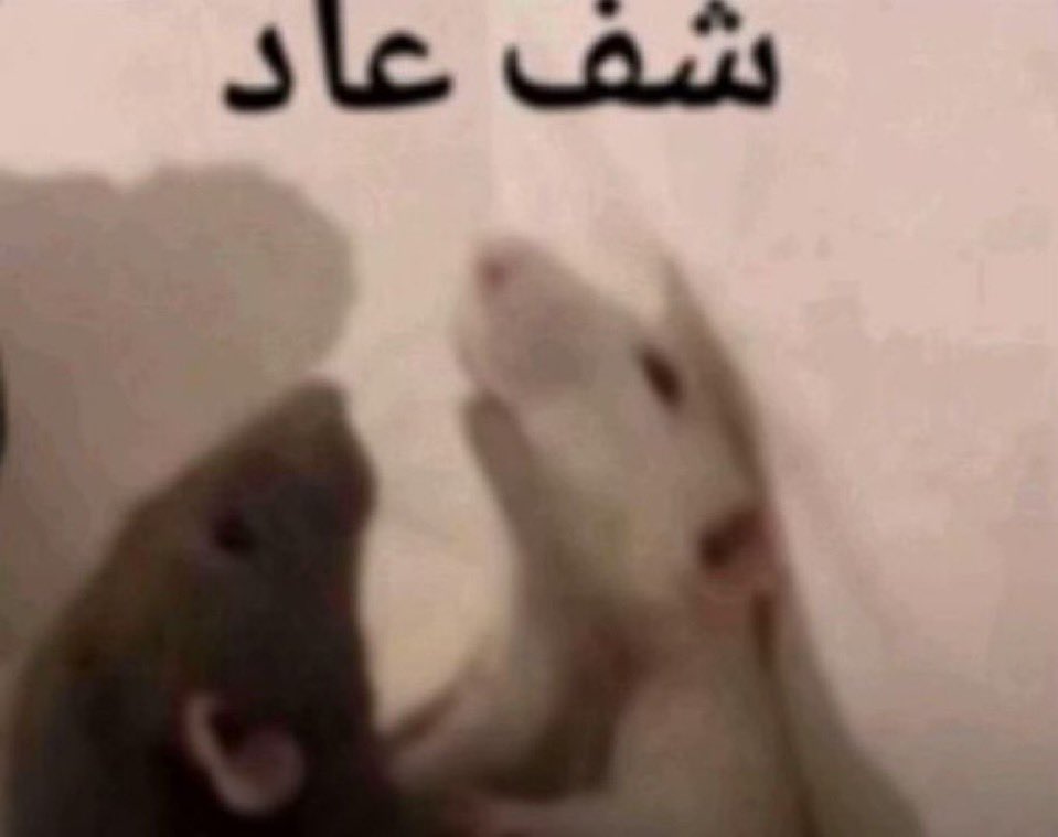 مجرد عابر سبيل tweet media