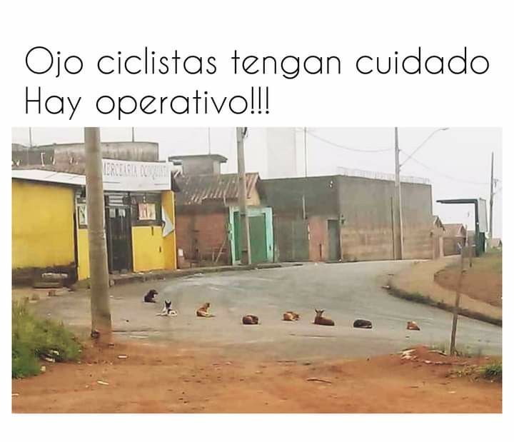 Ojo, los que viven por mi colonia jajaja 🤣