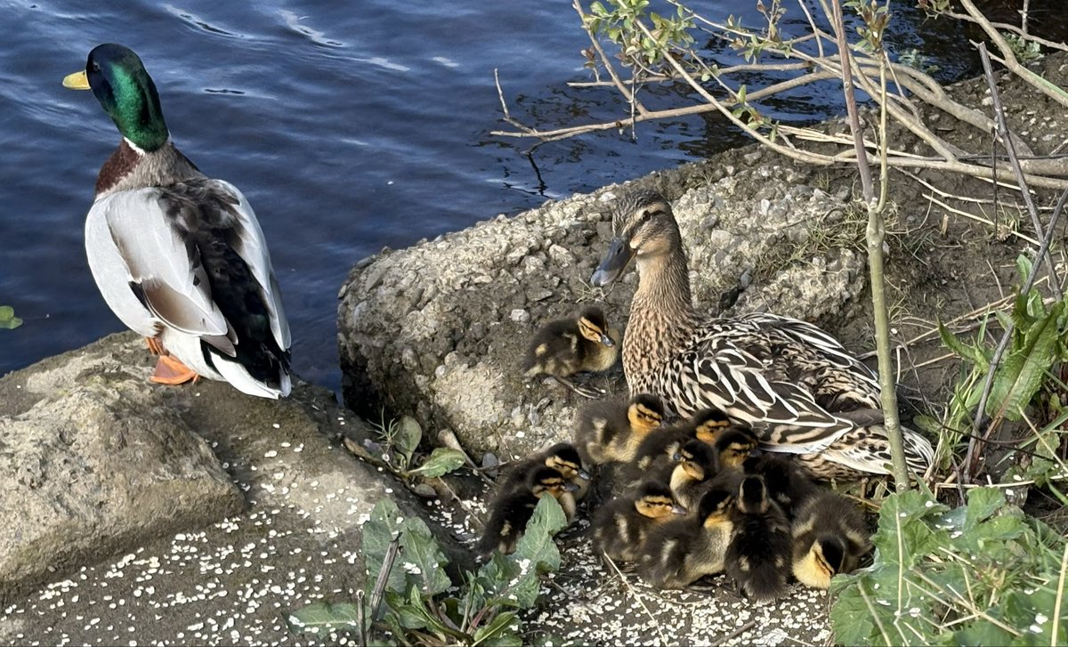 My Lens My Perspective tweet media