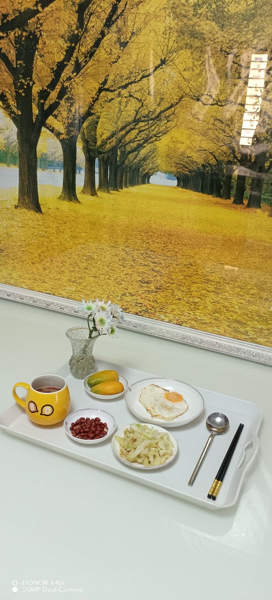 SahidaBharuchi's tweet image. "Sunny lunch break  — Fresh basil, ripe tomatoes, and a side of lemon iced tea. Perfect fuel for the afternoon! #FoodMoments #LunchVibes"