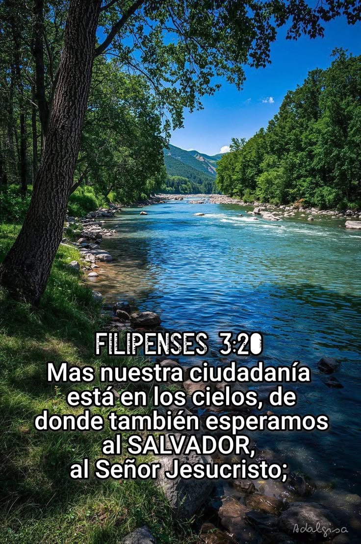 Hija de Dios tweet media
