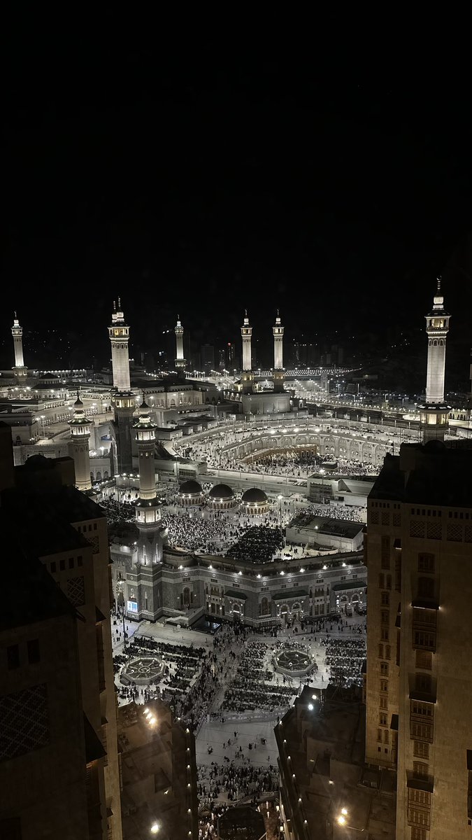 🐈‍⬛ tweet media