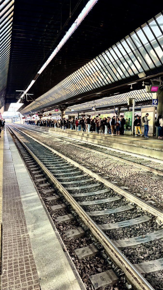 Tommaso Greco tweet media