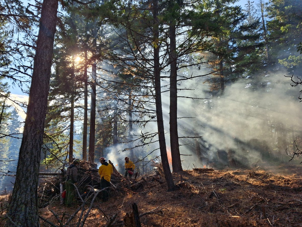 AmeriCorps tweet media