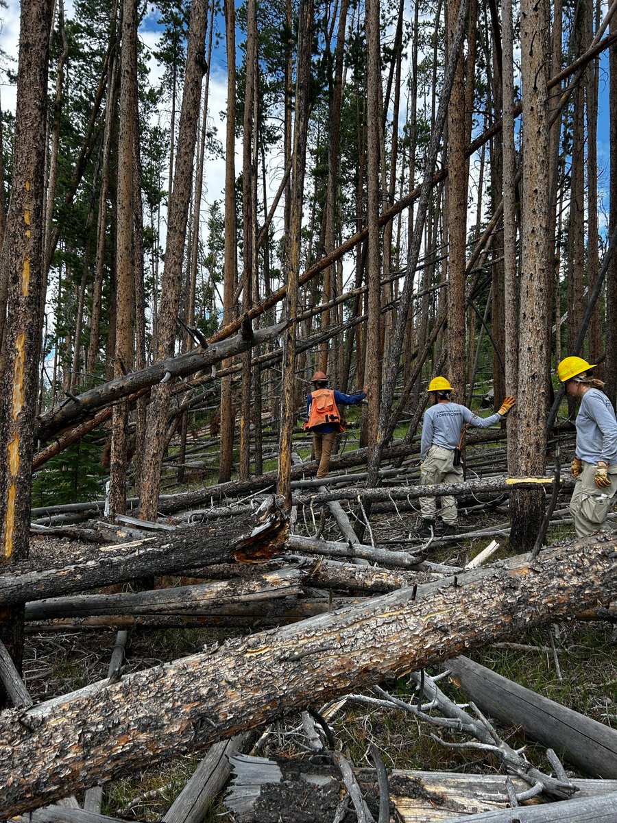 AmeriCorps tweet media