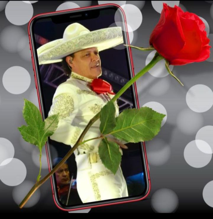 Bertha Sánchez tweet media