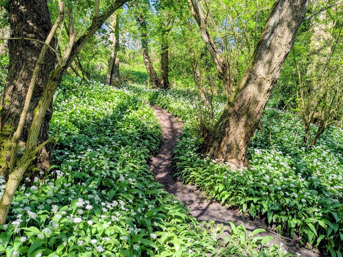 Claire Hill tweet media