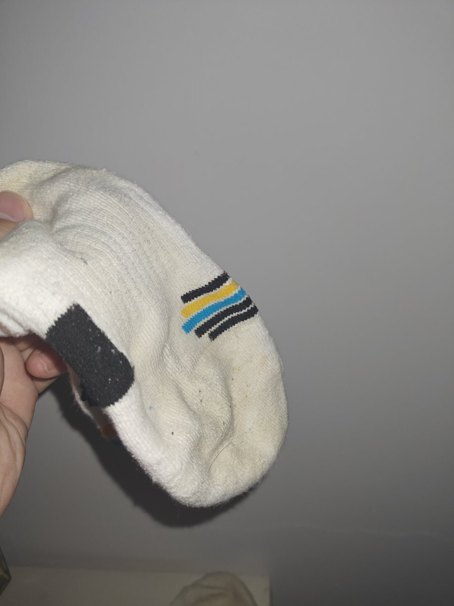 秋米⭐→绒爪兽聚 tweet media