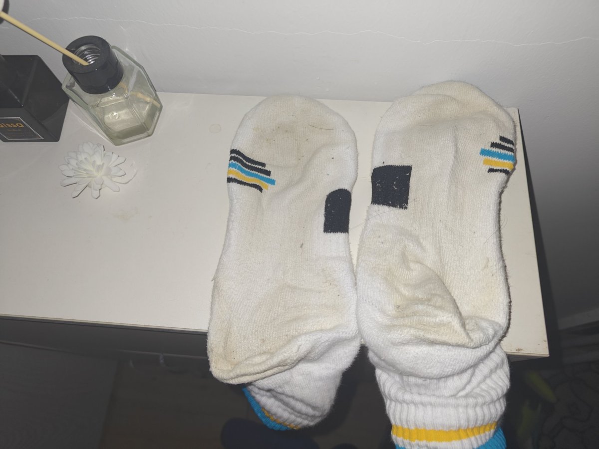 秋米⭐→绒爪兽聚 tweet media