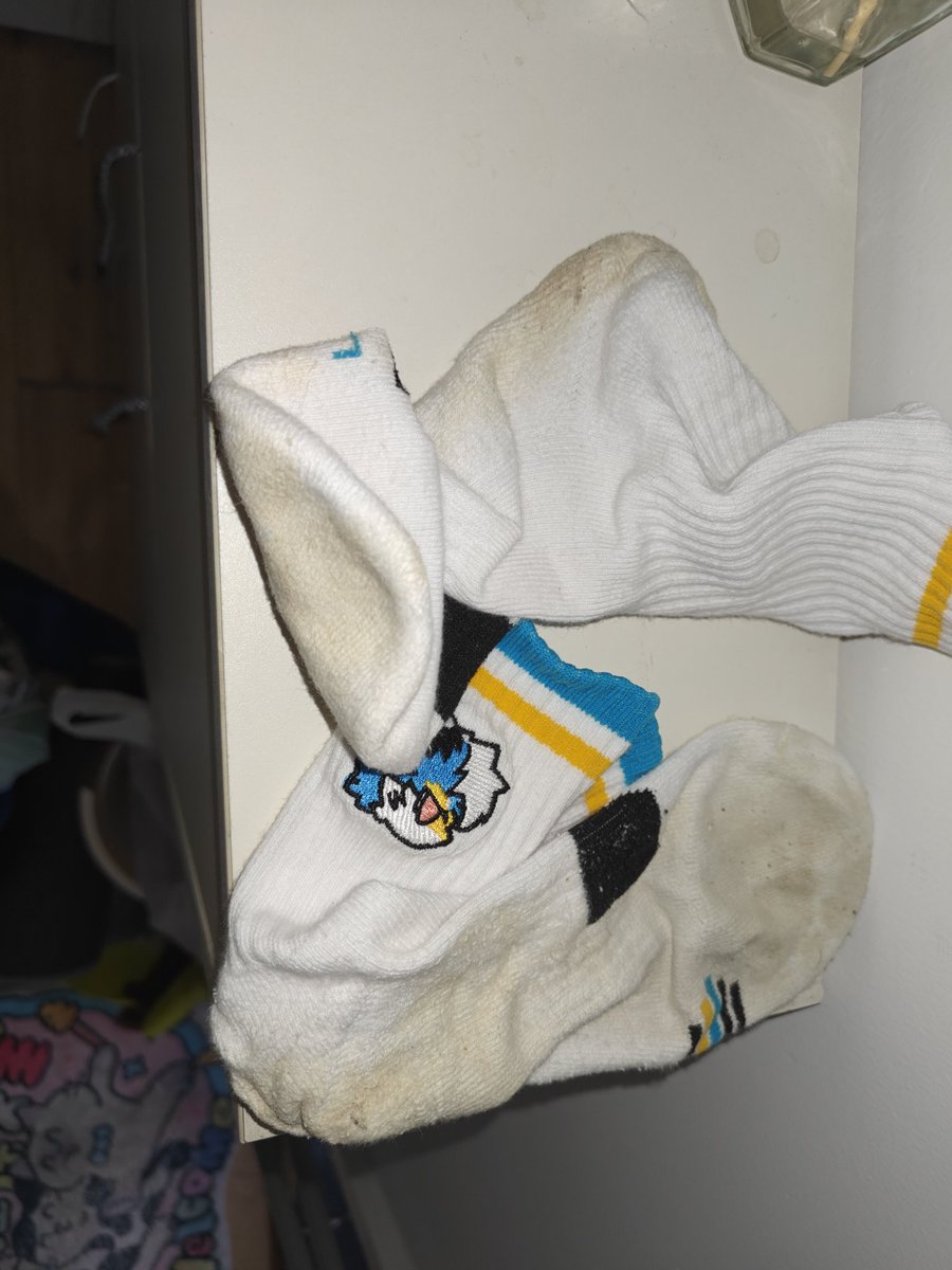 秋米⭐→绒爪兽聚 tweet media