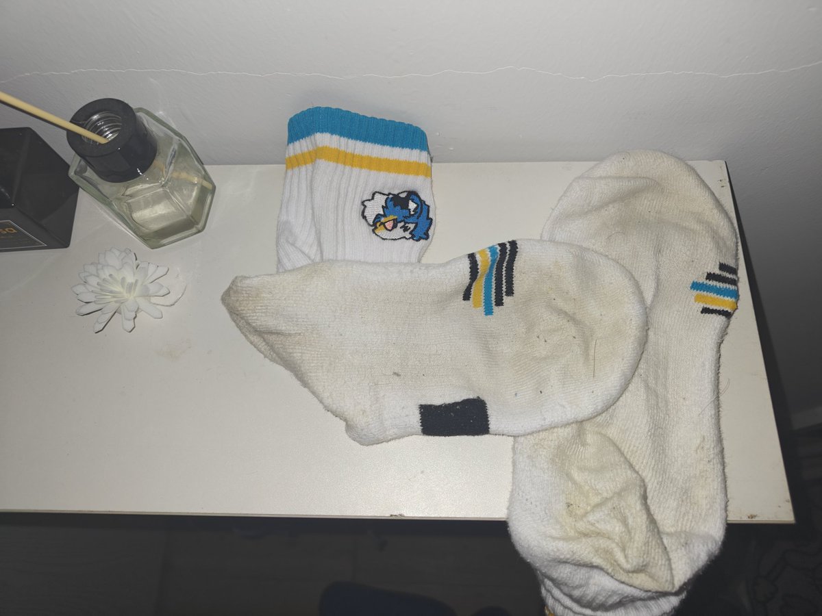 秋米⭐→绒爪兽聚 tweet media