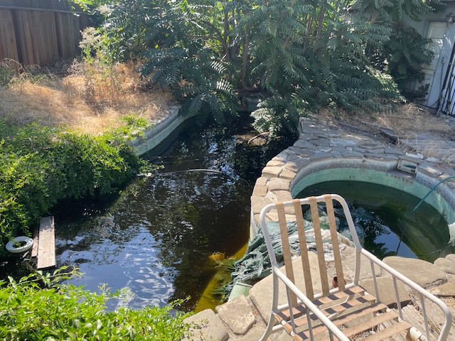 Turlock Mosquito Abatement District tweet media