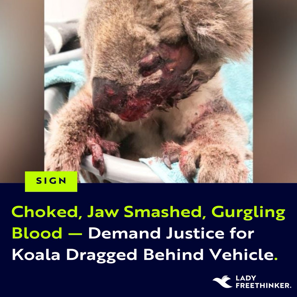 Lady Freethinker tweet media