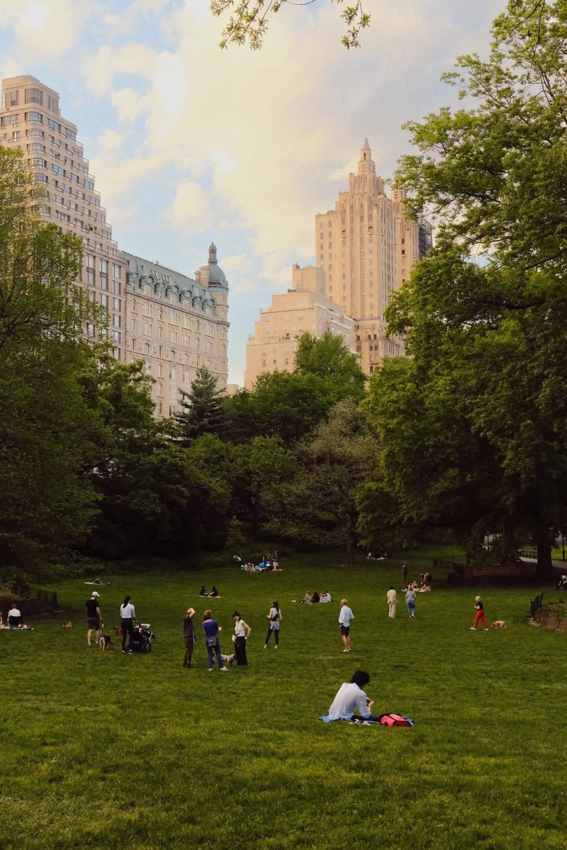 lavitalenta tweet media