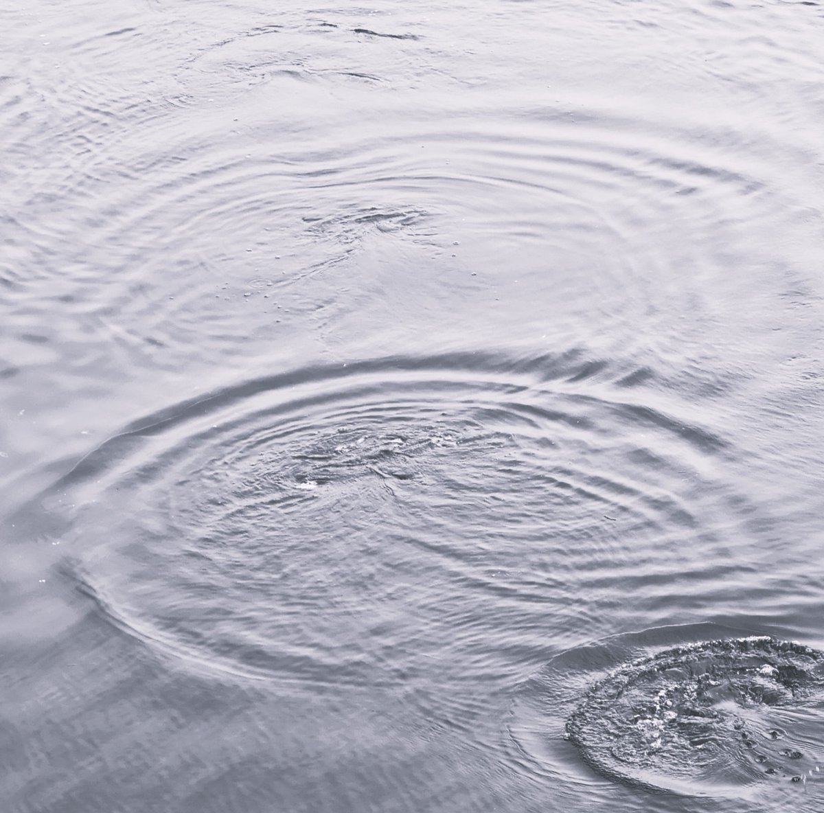 Solidbond tweet media