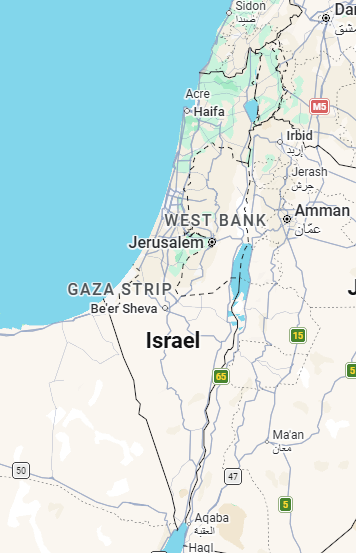 TruePatriotBulldog tweet media