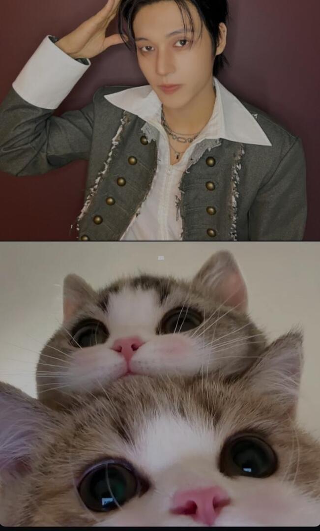 SEND MFS BACA LINK YA GES!! tweet media