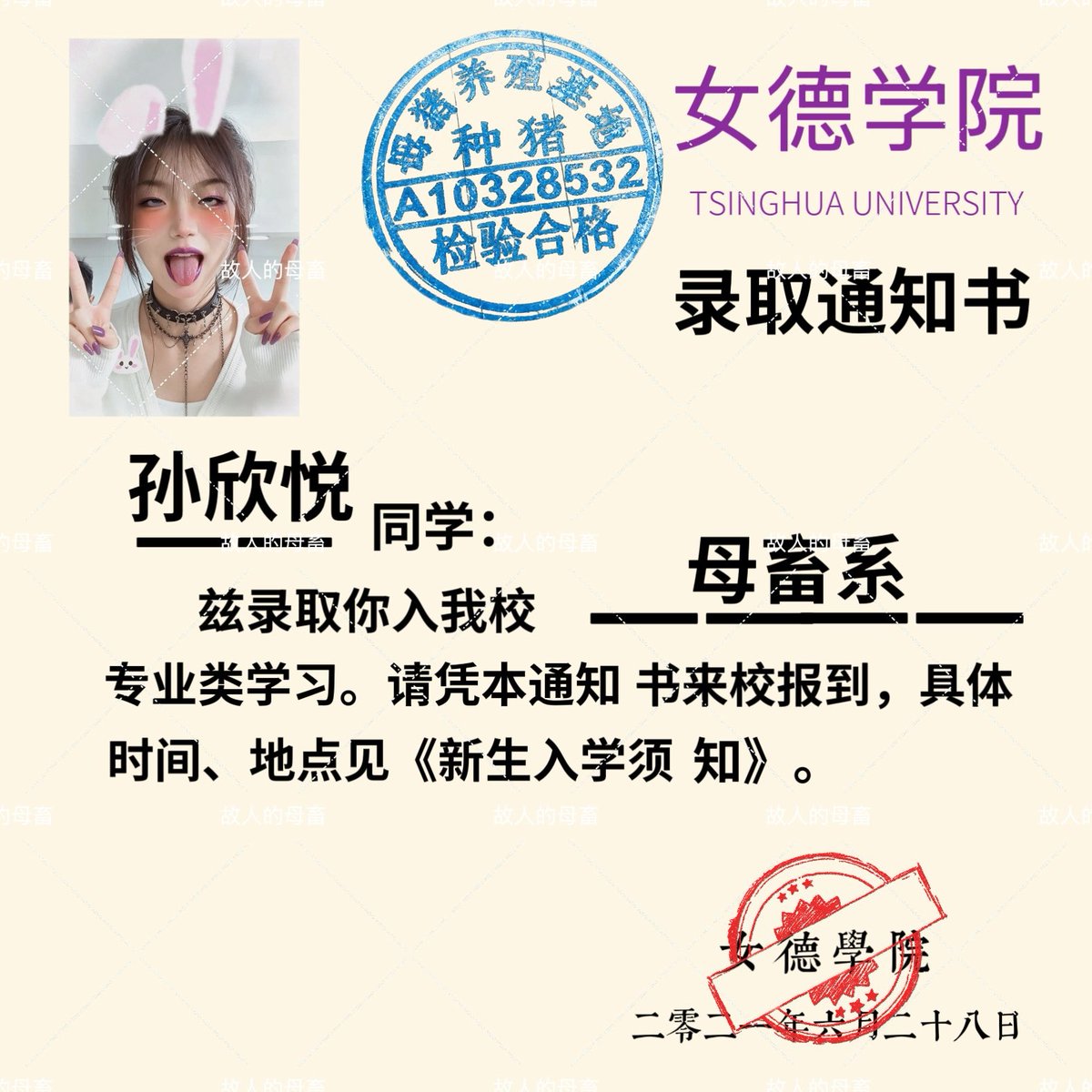 故人亲爹的第216号傻逼贱狗悦奴 tweet media