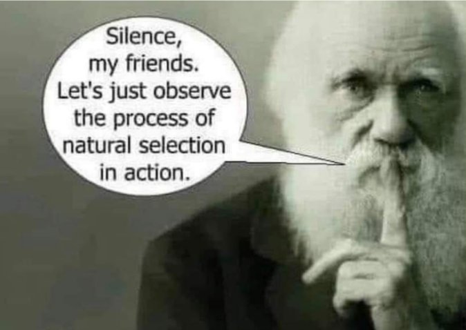 Acrobatic Split tweet media