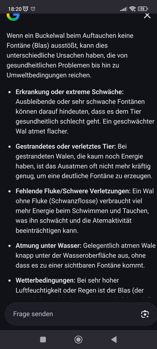 TIMMY WOLLTE LEBEN‼️‼️‼️🆘🆘🆘🐳♥️ tweet media