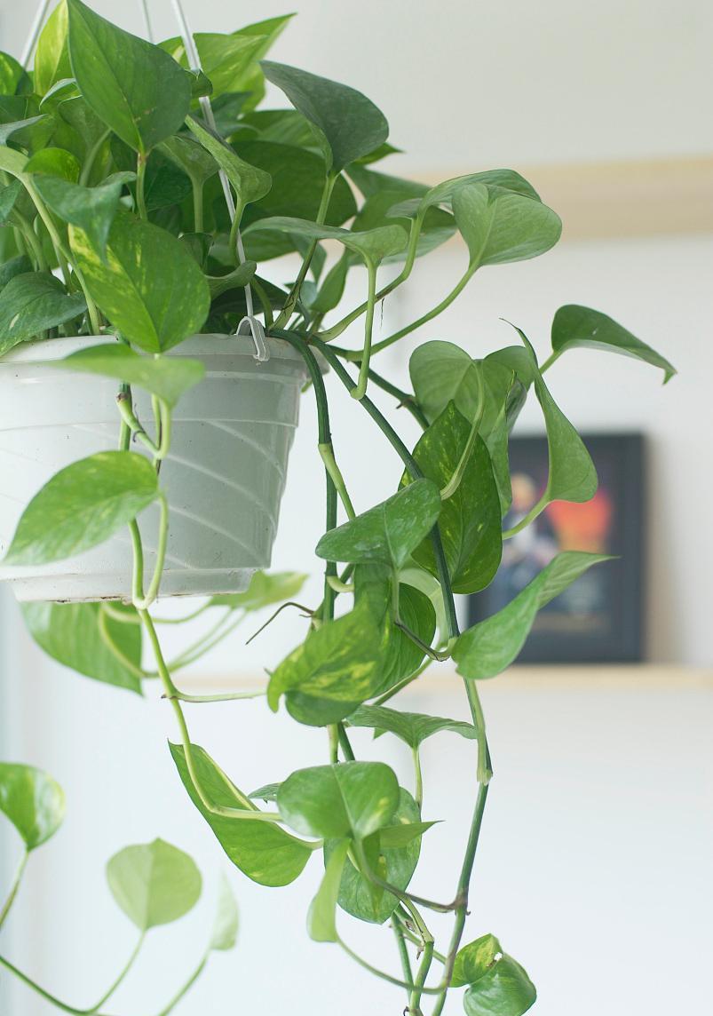 Drue Thomas tweet media